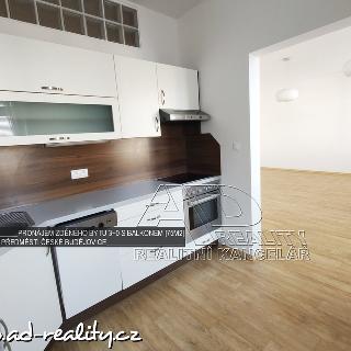 Pronájem bytu 3+kk 70 m² České Budějovice