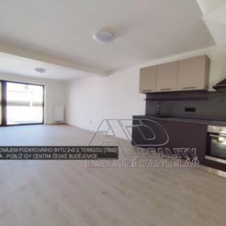 Pronájem bytu 2+kk 65 m² České Budějovice 3, Fráni Šrámka
