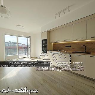 Pronájem bytu 1+kk, garsoniery 28 m&sup2; České Budějovice