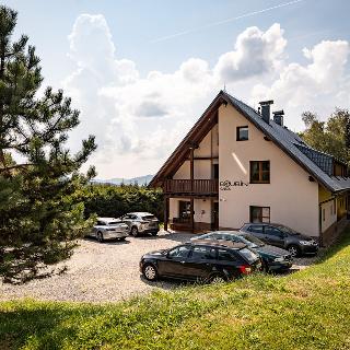 Prodej rodinného domu 461 m² Kubova Huť, 