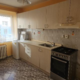 Pronájem bytu 2+1 56 m² Písek, Na Stínadlech