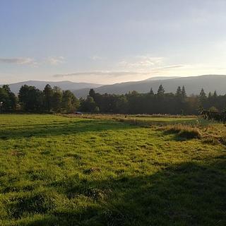 Prodej ostatních pozemků 14303 m&sup2; Želnava