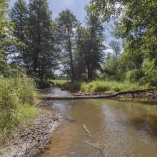 Prodej vodní plochy 1939 m&sup2; Planá