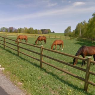Pronájem stavební parcely 5 196 m² Buk