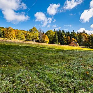 Prodej louky 6572 m&sup2; Stožec