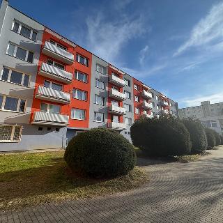 Pronájem bytu 2+1 60 m² Písek, Harantova