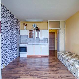 Pronájem bytu 1+1 41 m² Plzeň, Domažlická