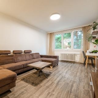 Prodej bytu 3+1 82 m² České Budějovice, Dobrovodská