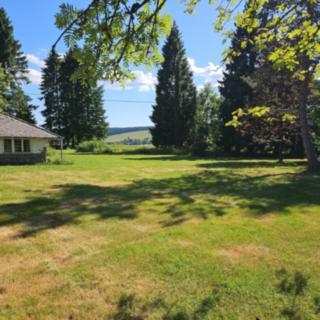 Pronájem zahrady 2010 m² Nové Hutě