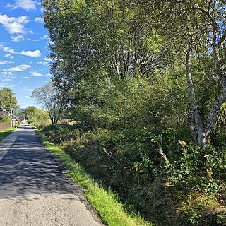 Prodej ostatních pozemků 211 m² Stožec