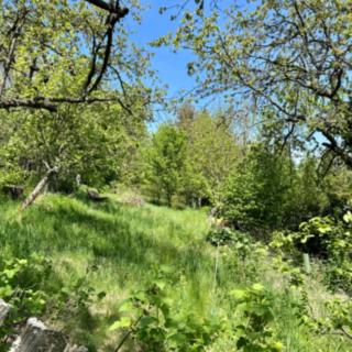 Prodej zahrady 307 m² Vimperk, 