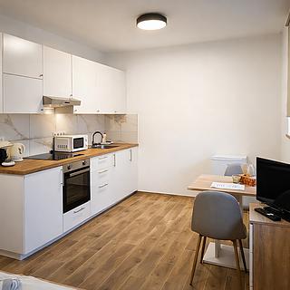 Pronájem bytu 1+kk, garsoniery 29 m&sup2; Husinec