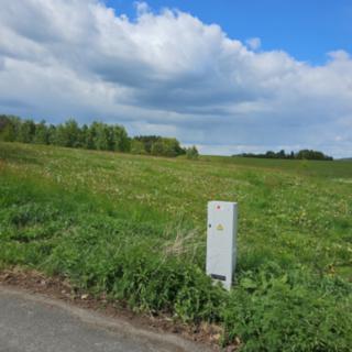 Pronájem stavební parcely 2 598 m² Buk, 
