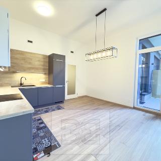 Pronájem bytu 2+kk 60 m² Praha, U plynárny