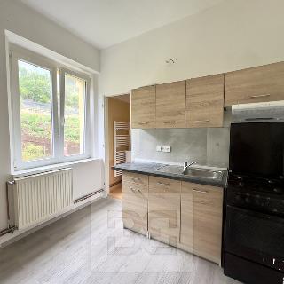 Pronájem bytu 2+1 43 m² Děčín, Na Úpatí