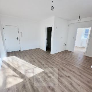 Pronájem bytu 2+kk 32 m² Praha, Havlovického