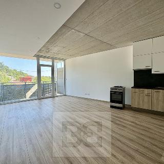 Pronájem bytu 1+kk a garsoniéry 38 m² Brno, 