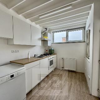 Pronájem bytu 3+1 130 m² Brno, V aleji