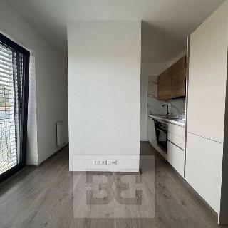 Pronájem bytu 1+kk a garsoniéry 35 m² Vyškov, Hybešova