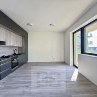Pronájem bytu 1+kk a garsoniéry 35 m² Znojmo, Kotkova