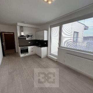 Pronájem bytu 1+kk a garsoniéry 34 m² Praha, Pod Harfou