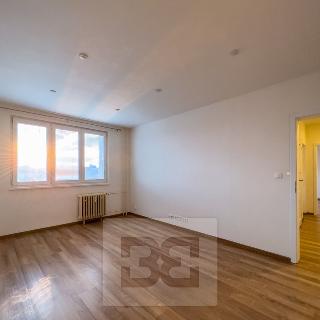 Pronájem bytu 2+1 51 m² Praha, Hřibská