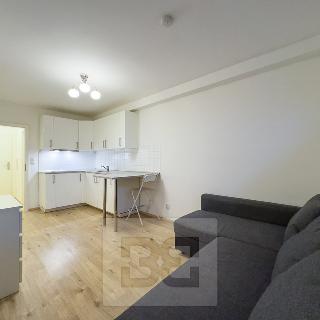 Pronájem bytu 1+kk a garsoniéry 21 m² Praha, Budějovická