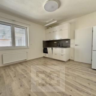 Pronájem bytu 1+kk, garsoniery 30 m² Brno