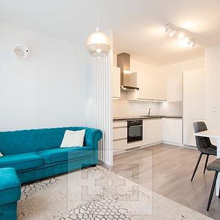 Pronájem bytu 1+kk, garsoniery 44 m&sup2; Beroun