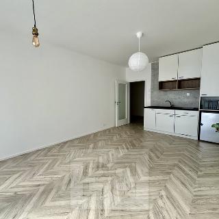 Pronájem bytu 1+kk a garsoniéry 38 m² Brno, Cejl