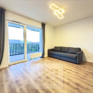 Pronájem bytu 1+kk a garsoniéry 30 m² Beroun, U Židovského hřbitova