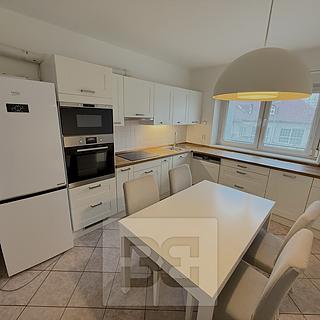 Pronájem Ostatních bytů 196 m&sup2; Praha