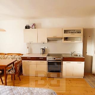 Pronájem bytu 1+kk, garsoniery 24 m² České Budějovice