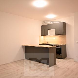 Pronájem bytu 2+kk 58 m² Olomouc, 