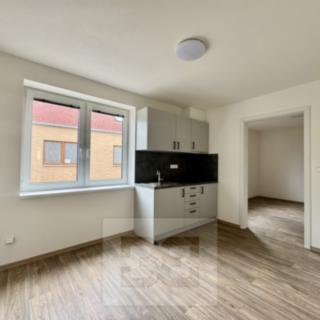 Pronájem Ostatních komerčních prostor 50 m² Střelice
