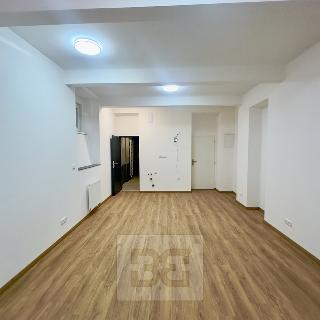 Pronájem ostatního komerčního prostoru 32 m² Praha, Střelničná