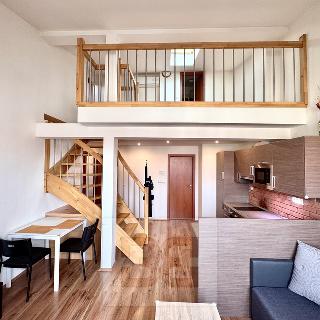 Pronájem bytu 3+kk 96 m² Praha, Biskupcova