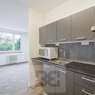 Pronájem bytu 1+kk, garsoniery 33 m&sup2; Rakovník
