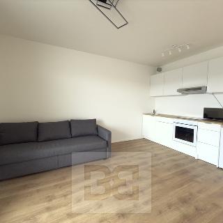 Pronájem bytu 1+kk a garsoniéry 30 m² Beroun, U Židovského hřbitova