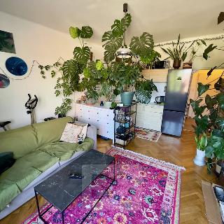 Pronájem bytu 1+kk a garsoniéry 30 m² Praha, Ortenovo náměstí