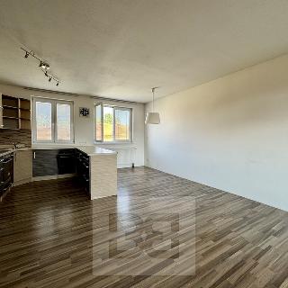 Pronájem bytu 5+kk 140 m² Podolí