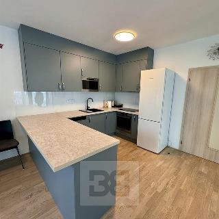 Pronájem bytu 2+kk 79 m² Praha, Olšanská