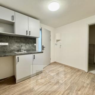 Pronájem Ostatních komerčních prostor 16 m² Střelice