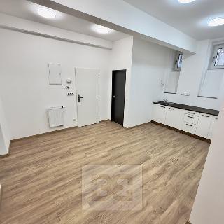 Pronájem bytu 3+1 87 m² Praha, Střelničná