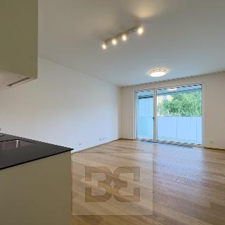 Pronájem bytu 1+kk a garsoniéry 32 m² Praha, Hodonínská