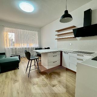 Pronájem bytu 3+kk 79 m² Brno, Pellicova