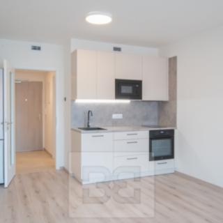 Pronájem bytu 1+kk, garsoniery 32 m² Praha