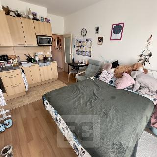 Pronájem bytu 1+kk a garsoniéry 32 m² Praha, Silurská