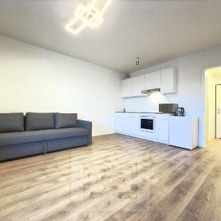 Pronájem bytu 1+kk a garsoniéry 30 m² Beroun, U Židovského hřbitova