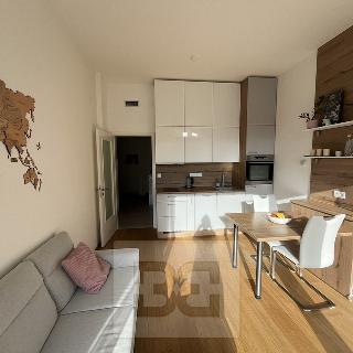 Pronájem bytu 2+kk 46 m² Praha, Michelangelova